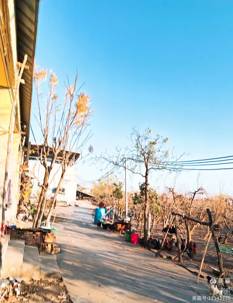 金牛山石榴园随拍